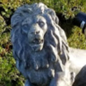 Meet your Posher, Audra & damian